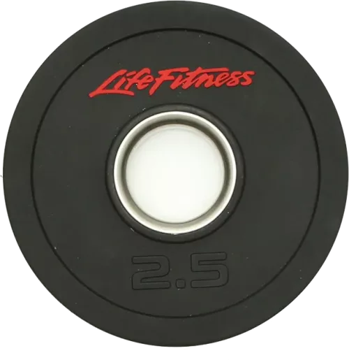 AW5 Barbell Lifefitness Weight Plate