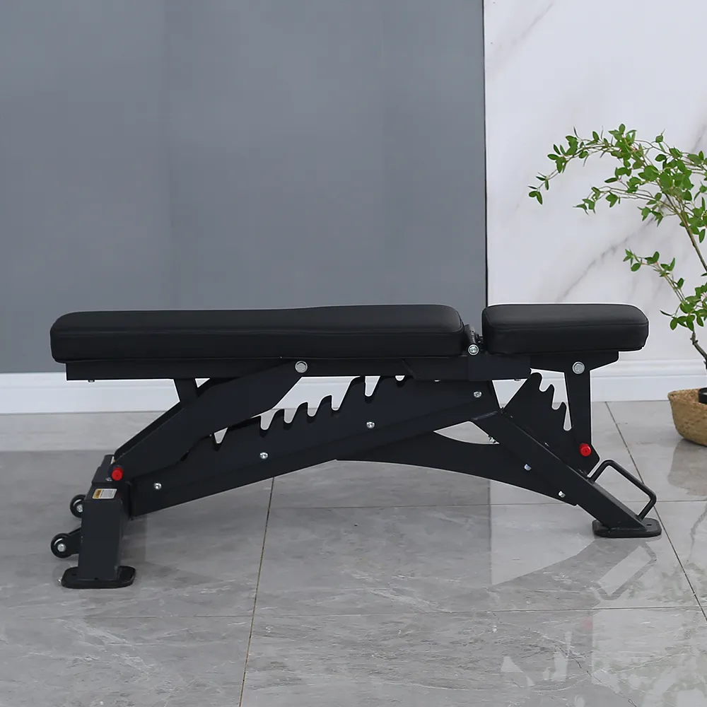 Adjustable Bench Gym Equipment