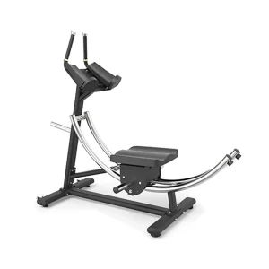 DZ101 Commercial Ab Trainer