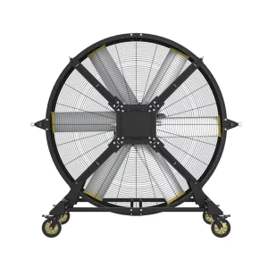 DZ108 Industrial Gym Fan